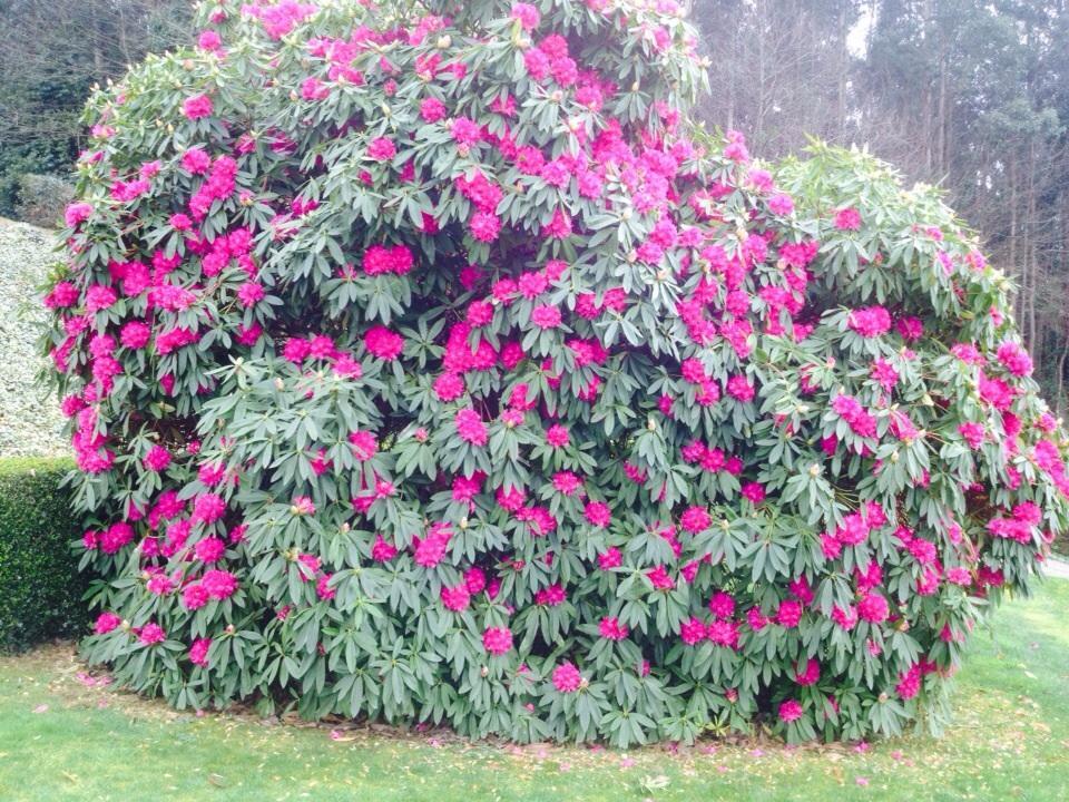 Abegondo Casa Das Veigas מראה חיצוני תמונה